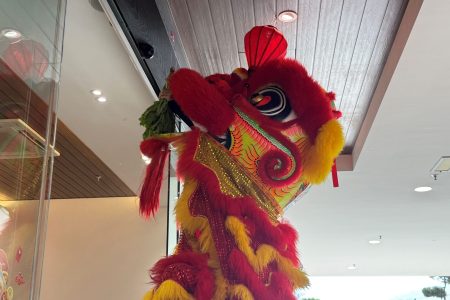 CNY 2026 (1)